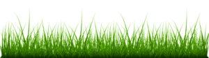 grass-sidebar-vector