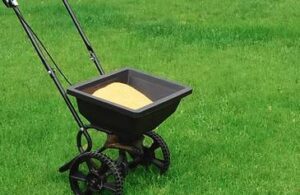 LAWN FERTILIZATION