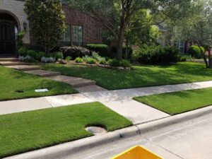 Impeccable lawn care showcasing a vibrant yard and elegant home