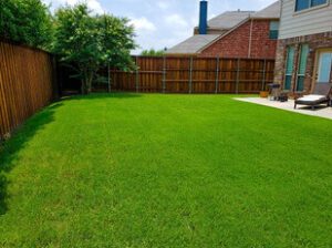 Neatly trimmed grass complementing a traditional-style home