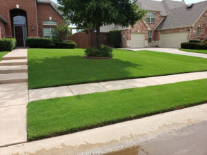 Front yard with symmetrical landscaping and a clean driveway