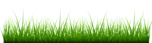 grass-sidebar-vector