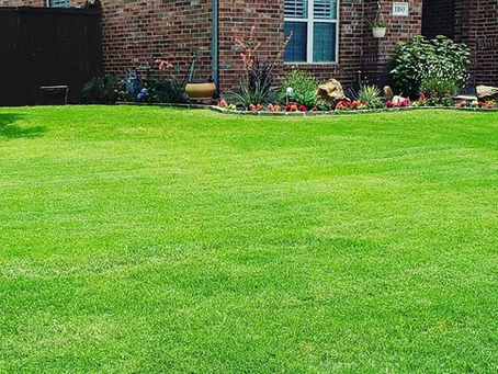 4e4ef6_f4f521220f9249fea5c09449ab1ef4e3~mv2 Green Grass