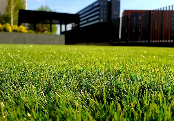 green grass