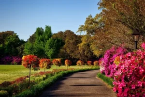 Road with flowers and trees