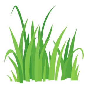 grass vector