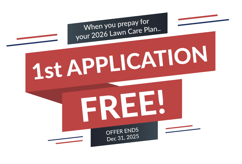 1st application offer