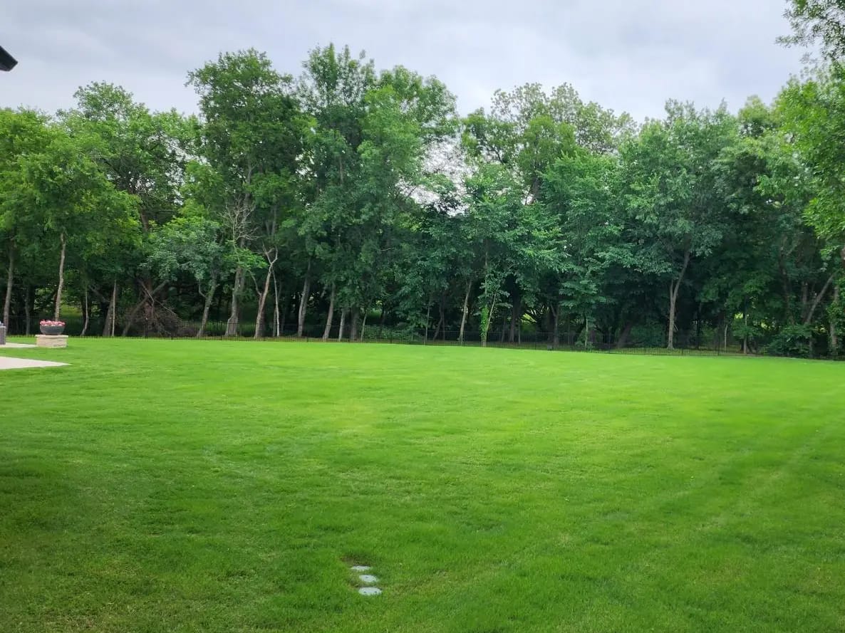 Green lawn maintained through seasonal lawn care program