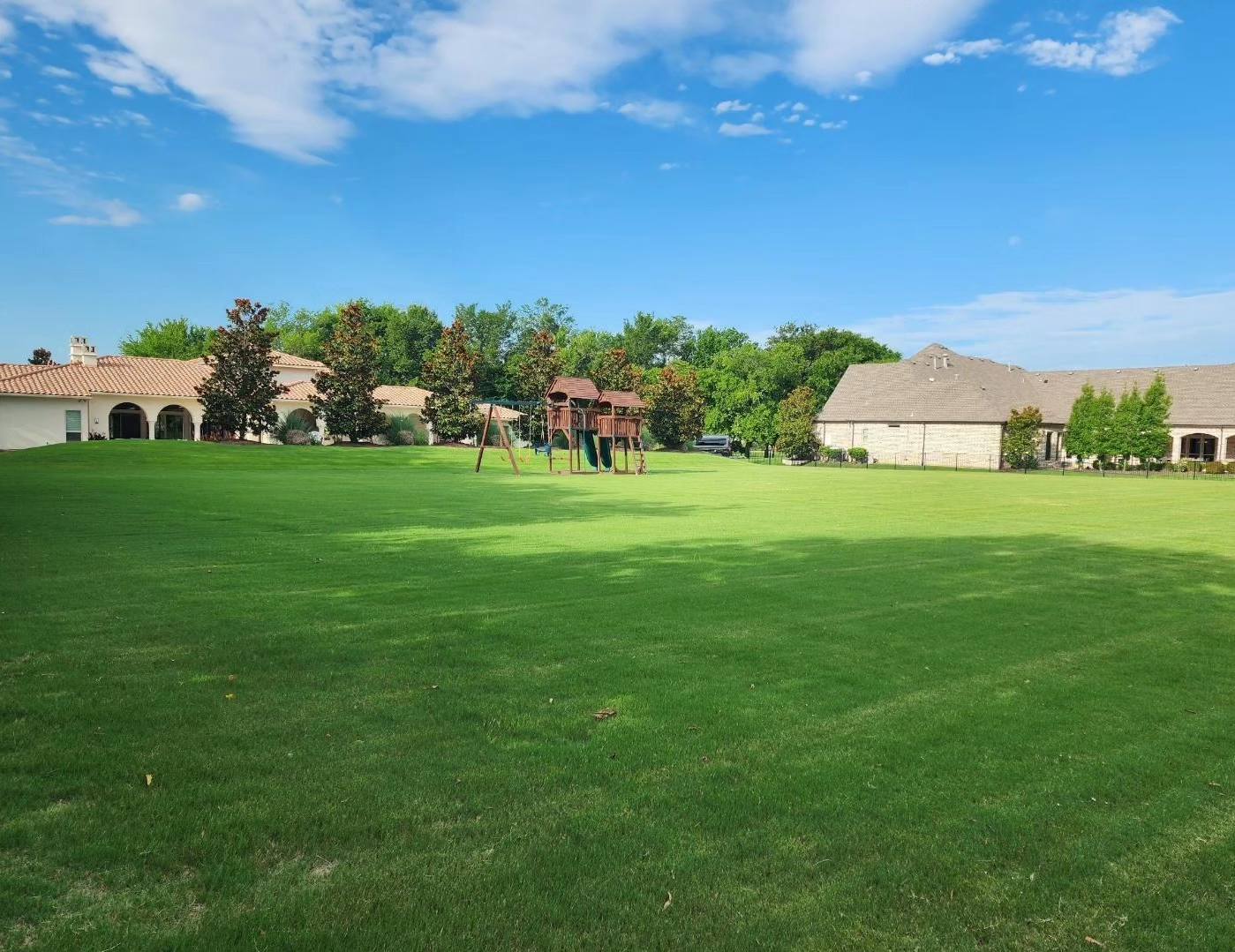 Thick green turf maintained with long-term lawn care