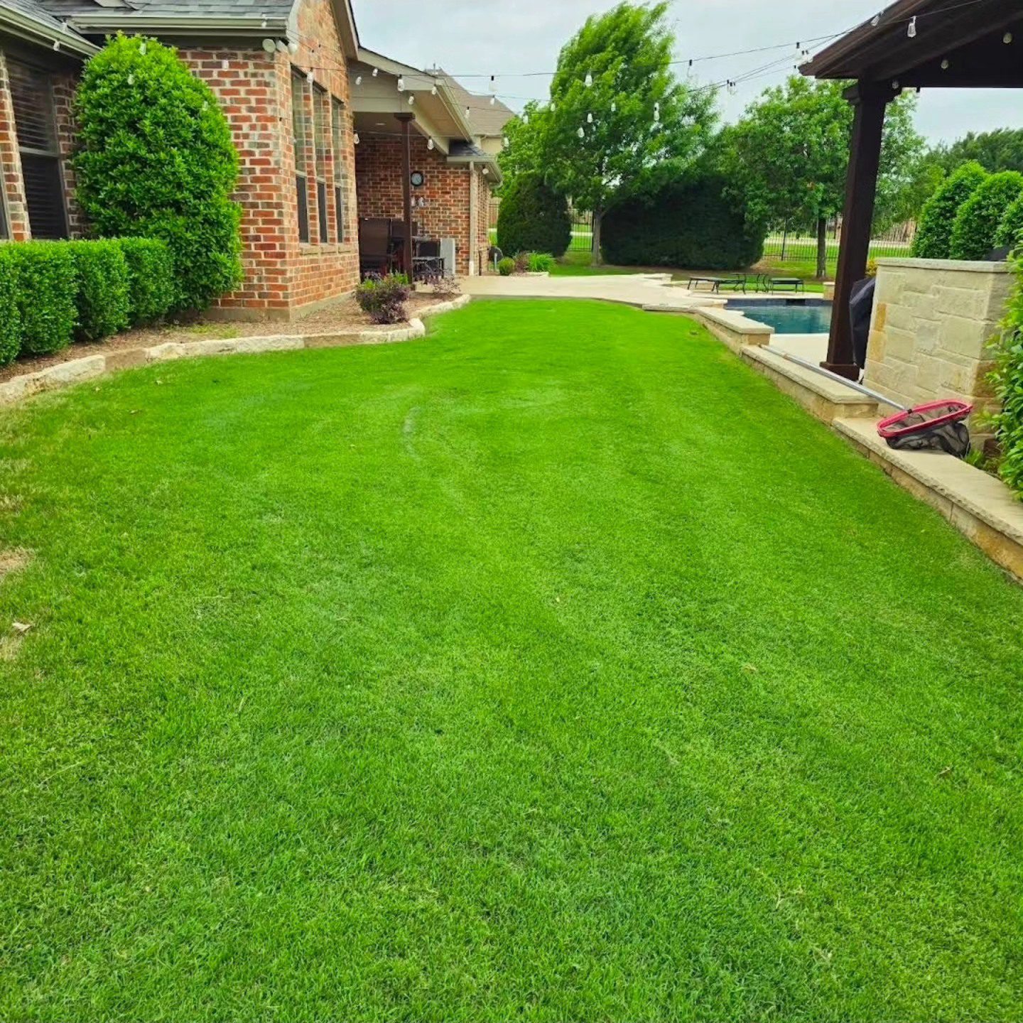 Green lawn maintained with fertilization and weed prevention program