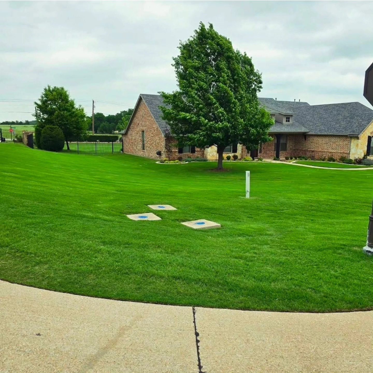 Thick green turf showing results of professional weed control